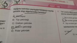 turgor
ğlar?
iz III
EŞEYLI ÜREME-1
A Mikrospor
B) Tüp çekirdeği
C) Üretken çekirdek
(D) Sperm çekirdeği
E) Polar çekirdek
TEST-106
1. Aşağıda belirtilen yapılardan hangisinin taşıdığı
genetik bilgi diğerlerinden farklıdır?
4. Tam çiçekte kendi kendin
şiyorsa döllenme şansin
L. Dişi ve erkek gametler
1. Dişi ve erkek gametle
III. Dişi ve erkek game
belirtilenlerden han
A) Yaln
D) I ve