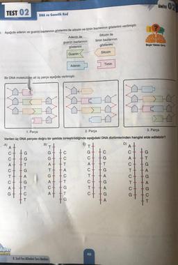 TEST 02
3. Aşağıda adenin ve guanin bazlarının gösterimi ile sitozin ve timin bazlarının gösterimi verilmiştir.
A
Bir DNA molekülüne ait üç parça aşağıda verilmiştir.
CACT
AG
A
+
C++G
T+ +A
C +G
lüler
inlari
DNA ve Genetik Kod
3. Parça
2. Parça
1. Parça
Verilen üç DNA parçası doğru bir şekilde birleştirildiğinde aşağıdaki DNA dizilimlerinden hangisi elde edilebilir?
A)
B)
T
SC15 AGTCT
T
551
G
ATGACA
Adenin ile
guanin bazlarının
gösterimi
Guanin
+||||||||
At
8. Sınıf Fen Bilimleri Soru Bankası
CCTACTGTG
+T
A+ +T
C
Adenin
G
GCA
G
C
C1O
Sitozin ile
timin bazlarının
gösterimi
Sitozin
40
+
Timin
C +
T +
A
C + G
tc
+
CATG
(5
A
GA
9
ACA
C
TCG
T
+
A+
C-
T+ +A
C +
+
Beyin Yakan Soru
GTGA GA GUT
UNITE 02
C