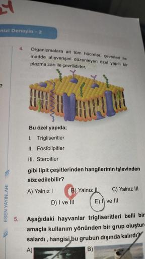 H
nizi Deneyin - 2
?
ESEN YAYINLARI
Organizmalara ait tüm hücreler, çevreleri ile
madde alışverişini düzenleyen özel yapılı bir
plazma zarı ile çevrilidirler.
Bu özel yapıda;
I. Trigliseritler
II. Fosfolipitler
III. Steroitler
gibi lipit çeşitlerinden hang