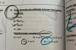 arla
nci
10. insan kanında alyuvarlarda bulunan hemoglobin
molekülü,
HbO₂
V. HbCOz
LU HbCO
IV. HbH
bileşiklerinden hangilerini yapabilir?
A) I ve II
B) II ve III
D), II ve III
C) III ve IV
E) I, II, III ve IV
Insanda egz
artırılması;
kan pH's
U doku hü
masi,
hücreler
masi
durumların
A) Yalnız I
C