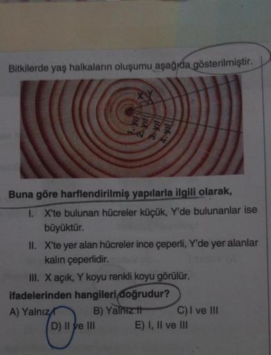 Bitkilerde yaş halkaların oluşumu aşağıda gösterilmiştir.
XY
2. yıl
3. yıl
4. yıl
Buna göre harflendirilmiş yapılarla ilgili olarak,
1. X'te bulunan hücreler küçük, Y'de bulunanlar ise
büyüktür.
II. X'te yer alan hücreler ince çeperli, Y'de yer alanlar
kal