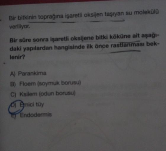 Bir bitkinin toprağına işaretli oksijen taşıyan su molekülü
veriliyor.
Bir süre sonra işaretli oksijene bitki köküne ait aşağı-
daki yapılardan hangisinde ilk önce rastlanması bek-
lenir?
A) Parankima
B) Floem (soymuk borusu)
C) Ksilem (odun borusu)
O) Emi