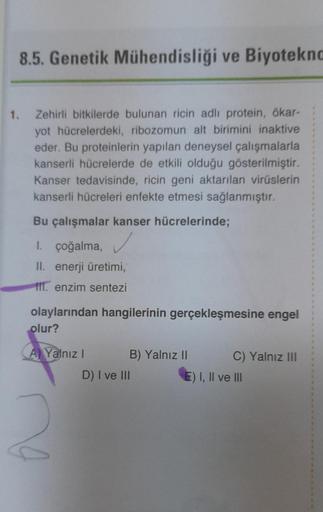 8.5. Genetik Mühendisliği ve Biyotekna
1. Zehirli bitkilerde bulunan ricin adlı protein, ökar-
yot hücrelerdeki, ribozomun alt birimini inaktive
eder. Bu proteinlerin yapılan deneysel çalışmalarla
kanserli hücrelerde de etkili olduğu gösterilmiştir.
Kanser