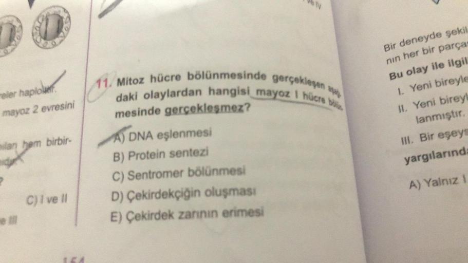 eler haplowe
mayoz 2 evresini
ilan ham birbir-
e till
C) I ve Il
11. Mitoz hücre bölünmesinde gerçekleşen a
daki olaylardan hangisi mayoz I hücre b
mesinde gerçekleşmez?
A) DNA eşlenmesi
B) Protein sentezi
C) Sentromer bölünmesi
D) Çekirdekçiğin oluşması
E