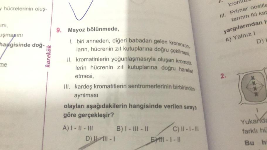 hücrelerinin oluş-
ini,
uşmasını
hangisinde doğ-
me
karekök
9. Mayoz bölünmede,
I. biri anneden, diğeri babadan gelen kromozom
ların, hücrenin zıt kutuplarına doğru çekilmesi,
II. kromatinlerin yoğunlaşmasıyla oluşan kromatit-
lerin hücrenin zıt kutupların