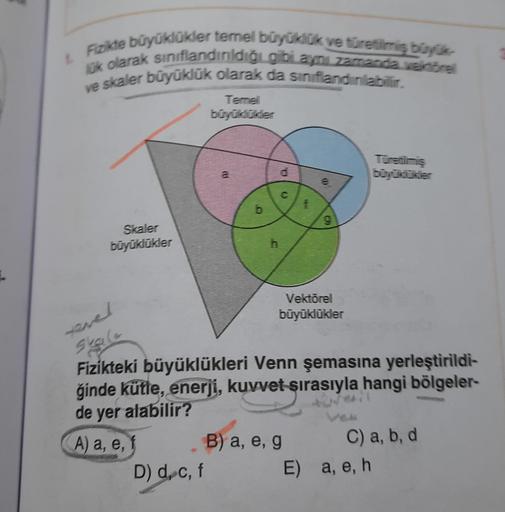 1. Fizikte büyüklükler temel büyüklük ve türetilmiş büyük
ük olarak sınıflandırıldığı gibi aynı zamanda vektörel
ve skaler büyüklük olarak da siniflandinlabilir.
Skaler
büyüklükler
fevel
A) a, e, f
Temel
büyüklükler
D) d, c, f
B
b
d
C
f
e
B) a, e, g
9
Vekt