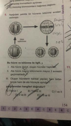 1
DyKardeş kromatitlerin ayrılması
E) Homolog kromozomlanın bağımsız dağılımı
8. Aşağıdaki şekilde bir hücrenin bölünme evreleri
verilmiştir.
DNA
eşlenmesi
0
GOODOOD
breage
DMI ve III
Mort
rey
myr
Bu hücre ve bölünme ile ilgili,
1. Ata hücre diploit, oluşa