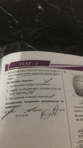 TEST-4
1. Bir hücrenin mitoz bölünmesi sonucunda oluşan iki
yavru hücrenin kalıtsal yapılarında farklılık gözlen-
miştir
Bu farklılığın oluşması,
1. kromozomların düzgün ayrılmaması,
II. organel ve sitoplazmanın hücrelere farklı milk-
tarda dağılması
III. 