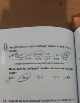 0
Aşağıda DNA'nın şifre vermeyen ipliğine ait şifre dizisi ve-
rilmiştir.
mena
B) 3
5'USA
UUJ (AUG SSAA
TSA
TTT
(Protein sentezinde okuma yönü 5¹ den 3'e doğrudur.)
Buna göre bu polipeptit sentezi sonucu kaç su açığa
çıkar?
A) 2
SOS JAA
ATG SSA SGS TAA
te
C) 4
D) 5
E) 6
13. Aşağıda üç farklı polipeptit molekülüne ait amino asit du-