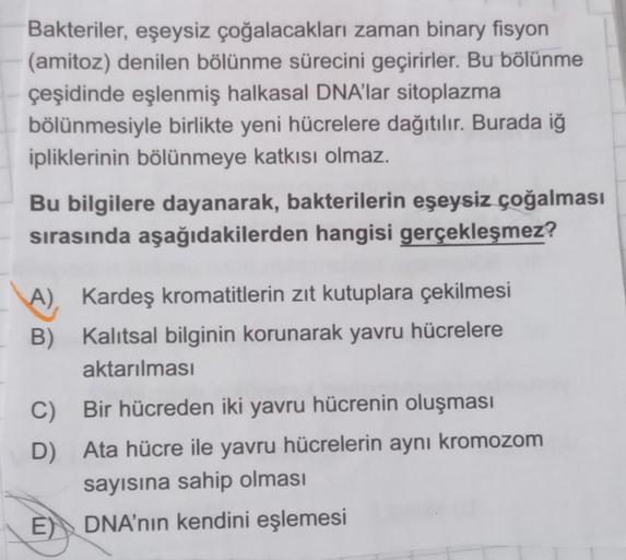 Bakteriler, eşeysiz çoğalacakları zaman binary fisyon
(amitoz) denilen bölünme sürecini geçirirler. Bu bölünme
çeşidinde eşlenmiş halkasal DNA'lar sitoplazma
bölünmesiyle birlikte yeni hücrelere dağıtılır. Burada iğ
ipliklerinin bölünmeye katkısı olmaz.
Bu