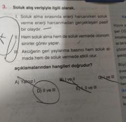 3.
Soluk alış verişiyle ilgili olarak,
I. Soluk alma sırasında enerji harcanırken soluk
verme enerji harcanmadan gerçekleşen pasif
bir olaydır.
-
II. Hem soluk alma hem de soluk vermede otonom
sinirler görev yapar.
II Akciğerin geri yaylanma basıncı hem soluk al-
mada hem de soluk vermede etkili olur.
açıklamalarından hangileri doğrudur?
A) Yakız I
D) II ve III
BL vell
EN II ve III
Ka
Hücre s
san CO
kılcallan
az bir ka
çözün
şekild
Büyü
yuva
Cve II için
her
(ka
ka