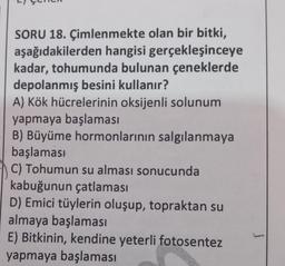 SORU 18. Çimlenmekte olan bir bitki,
aşağıdakilerden hangisi gerçekleşinceye
kadar, tohumunda bulunan çeneklerde
depolanmış besini kullanır?
A) Kök hücrelerinin oksijenli solunum
yapmaya başlaması
B) Büyüme hormonlarının salgılanmaya
başlaması
C) Tohumun su alması sonucunda
kabuğunun çatlaması
D) Emici tüylerin oluşup, topraktan su
almaya başlaması
E) Bitkinin, kendine yeterli fotosentez
yapmaya başlaması