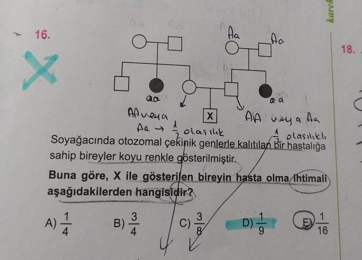 - 16.
X
B)
Af veya
Aa →
× AA veya Aa
A
olasılıklı
Soyağacında otozomal çekinik genlerle kalıtılan bir hastalığa
sahip bireyler koyu renkle gösterilmiştir.
olasılık
3
Aa
Buna göre, X ile gösterilen bireyin hasta olma ihtimali
aşağıdakilerden hangisidir?
A) 