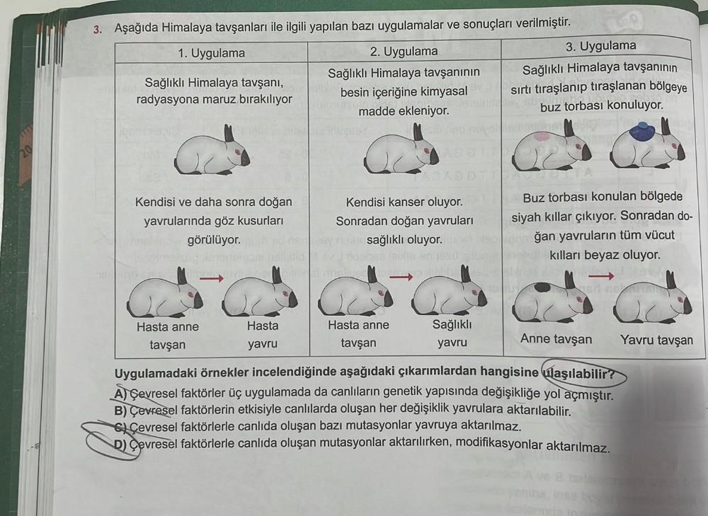 3. Aşağıda Himalaya tavşanları ile ilgili yapılan bazı uygulamalar ve sonuçları verilmiştir.
1. Uygulama
Sağlıklı Himalaya tavşanı,
radyasyona maruz bırakılıyor
Kendisi ve daha sonra doğan
yavrularında göz kusurları
görülüyor.
Hasta anne
tavşan
Hasta
yavru