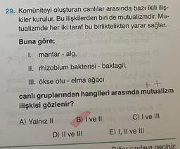 29. Komüniteyi oluşturan canlılar arasında bazı ikili iliş-
kiler kurulur. Bu ilişkilerden biri de mutualizmdir. Mu-
tualizmde her iki taraf bu birliktelikten yarar sağlar.
Buna göre;
I. mantar - alg,
II. rhizobium bakterisi - baklagil, feminet
III. ökse otu - elma ağacı
sqa nalios
olax rn ++
canlı gruplarından hangileri arasında mutualizm
ilişkisi gözlenir?
jalo nins/ bisbabor
A) Yalnız II se B) I ve II
D) II ve III
012
C) I ve III
E) I, II ve III
Diñor sayfaya geçiniz.