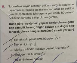 6. Topraktaki suyun alınarak bitkinin sürgün sistemine
taşınması sürecinde su akışının sorunsuz bir şekilde
gerçekleşebilmesi için taşıma yolundaki hücrelerin
belirli bir derişime sahip olması gerekir.
Buna göre, aşağıdaki yapılar sahip olması gere-
ken ozmotik basınç değeri çoktan aza doğru sıra-
lanacak olursa hangisi dördüncü sırada yer alır?
A) Korteksteki parankima hücreleri,
BY Kök emici tüyü
C) Merkezi silindiri kuşatan periskl hücreleri
D) Endodermis hücreleri
E) Ksilemin trake boruları