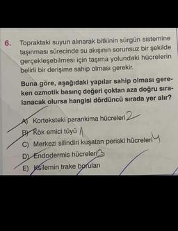 6. Topraktaki suyun alınarak bitkinin sürgün sistemine
taşınması sürecinde su akışının sorunsuz bir şekilde
gerçekleşebilmesi için taşıma yolundaki hücrelerin
belirli bir derişime sahip olması gerekir.
Buna göre, aşağıdaki yapılar sahip olması gere-
ken ozmotik basınç değeri çoktan aza doğru sıra-
lanacak olursa hangisi dördüncü sırada yer alır?
A Korteksteki parankima hücreleri 2
BY Kök emici tüyü
C) Merkezi silindiri kuşatan periskl hücreleri
eriy
D) Endodermis hücreleri
E) Ksilemin trake boruları