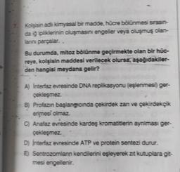 7. Kolşisin adlı kimyasal bir madde, hücre bölünmesi sırasın-
da iğ ipliklerinin oluşmasını engeller veya oluşmuş olan-
lanını parçalar..
Bu durumda, mitoz bölünme geçirmekte olan bir húc-
reye, kolşisin maddesi verilecek olursa, aşağıdakiler-
den hangisi meydana gelir?
A) Interfaz evresinde DNA replikasyonu (eşlenmesi) ger-
çekleşmez.
B) Profazın başlangıcında çekirdek zan ve çekirdekçik
erimesi olmaz.
C) Anafaz evresinde kardeş kromatitlerin ayrılması ger-
çekleşmez.
D) Interfaz evresinde ATP ve protein sentezi durur.
E) Sentrozomlanın kendilerini eşleyerek zit kutuplara git-
mesi engellenir.