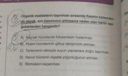 2) V
Organik maddelerin taşınması sırasında floemin kailemden
su alarak, sivi basıncının artmasına neden olan faktör aşa-
ğıdakilerden hangisidir?
A) Kaynak hücrelerde fotosentezin hızlanması
B) Floem hücrelerinin glikoz derişiminin artması
C) Terlemenin etkisiyle suyun yapraklara doğru taşınması
D) Havuz hücrenin nişasta yoğunluğunun artması
E) Stomaların kapanması