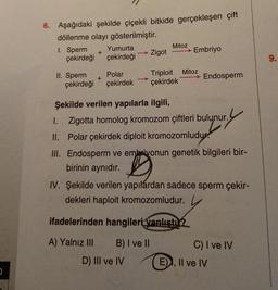 0
6. Aşağıdaki şekilde çiçekli bitkide gerçekleşen çift
döllenme olayı gösterilmiştir.
Yumurta
çekirdeği çekirdeği
1. Sperm
+
+
→ Zigot
II. Sperm
Polar
Triploit
çekirdeği çekirdek çekirdek
D) III ve IV
Mitoz
→→ Embriyo
E)
Mitoz
Şekilde verilen yapılarla ilgili,
1. Zigotta homolog kromozom çiftleri bulunur.
II. Polar çekirdek diploit kromozomludur.
III. Endosperm ve embriyonun genetik bilgileri bir-
birinin aynıdır.
IV. Şekilde verilen yapılardan sadece sperm çekir-
dekleri haploit kromozomludur.
ifadelerinden hangileri yanlıştu?
A) Yalnız III
B) I ve II
METISONI
Endosperm
r.y
C) I ve IV
Il ve IV
9.