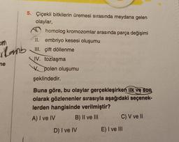 em
ilamb
ne
5. Çiçekli bitkilerin üremesi sırasında meydana gelen
olaylar,
homolog kromozomlar arasında parça değişimi
II. embriyo kesesi oluşumu
III. çift döllenme
IV. tozlaşma
V polen oluşumu
şeklindedir.
Buna göre, bu olaylar gerçekleşirken ilk ve son
olarak gözlenenler sırasıyla aşağıdaki seçenek-
lerden hangisinde verilmiştir?
A) I ve IV
B) II ve III
D) I ve IV
C) V ve Il
E) I ve III