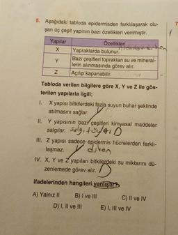 5. Aşağıdaki tabloda epidermisden farklılaşarak olu-
şan üç çeşit yapının bazı özellikleri verilmiştir.
Yapılar
X
Y
Z
Yapraklarda bulunur.
Özellikleri dado
Bazı çeşitleri topraktan su ve mineral-
lerin alınmasında görev alır.
Açılıp kapanabilir.
Tabloda verilen bilgilere göre X, Y ve Z ile gös-
terilen yapılarla ilgili;
I.
X yapısı bitkilerdeki fazla suyun buhar şeklinde
atılmasını sağlar.
A) Yalnız II
II. Y yapısının bazı çeşitleri kimyasal maddeler
lerk
salgılar. Salg D
na
III. Z yapısı sadece epidermis hücrelerden farklı-
diken
laşmaz.
IV. X, Y ve Z yapıları bitkilerdeki su miktarını dü-
zenlemede görev alır.
50%
D
ifadelerinden hangileri yanlıştır?
B) I ve III
D) I, II ve III
C) II ve IV
E) I, III ve IV
7