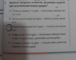 laylar
mang
3.
Menstrual döngünün evrelerinde gerçekleşen olaylarla
ilgili aşağıdakilerden hangisi yanlıştır?
A) Ovulasyon evresi (1-2 gün)→ Hormonların etkisiyle foli-
kül yırtılır.
B) Menstruasyon evresi (3-5 gün)→ Rahim iç duvarı parça-
lanır.
C) Korpus luteur evresi (10-14 gün)→ Yumurta vücut dışına
D) Folikül evresi (10-14 gün)→ Hormonların etkisiyle folikül-
lerden bir tanesi büyür, içerisindeki yumurta gelişir.
E) Ovulasyon evresi (1-2 gün)→ Yumurta siller yardımıyla
döllenme kanalına geçer.