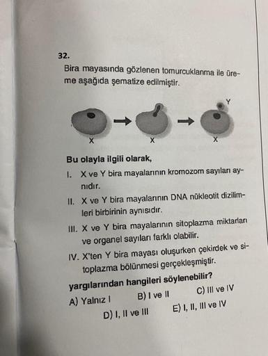 32.
Bira mayasında gözlenen tomurcuklanma ile üre-
me aşağıda şematize edilmiştir.
X
X
Bu olayla ilgili olarak,
1. X ve Y bira mayalarının kromozom sayıları ay-
nıdır.
II. X ve Y bira mayalarının DNA nükleotit dizilim-
leri birbirinin aynısıdır.
III. X ve