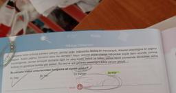 Hikâye Unsurları
mşekler birbiri ardınca aralıksız çakıyor, çevreyi ışığa boğuyordu. Müthiş bir manzaraydı. Arkadan alabildiğine bir yağmur
başladı. Acaba yağmur firtinanın sonu mu demekti? Hayır, ansızın enine uzanan bahçedeki büyük dalın ucunda, yumruk
büyüklüğünde, çevresi simsiyah dumanla kaplı bir ateş küresi belirdi ve birkaç saniye kendi çevresinde döndükten sonra
korkunç bir gürültüyle bomba gibi patladı. Bu ses ve ışık gecenin sessizliğini âdeta yarıyor gibiydi.
Bu parçada hikâye unsurlarından hangisine ait ayrıntı yoktur?
A) Olay
B) Yer
C) Zaman
Mozaik
M
Yayınları
D) Kişi