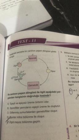 Muggur sortir dusund
beger
S
TEST-13
1. Aşağıdaki şemada bir canlının yaşam döngüsü göste-
rilmiştir.
Zigot
Juhe
Gametler
Sporofit
Gametofit
Spor
3. Bitkilerin üremesi il
1. İki bitki parças
yüyecek şekile
Bu canlının yaşam döngüsü ile ilgili aşağıdaki yar-
gilardan hangisinin doğruluğu kesindir?
A) Eşeyli ve eşeysiz üreme birbirini izler.
B) Sporofitler yavrularını eşeyli üreme ile oluşturur.
C) Döllenmiş yumurtalardan gametofitler oluşur.
D) Sporlar mitoz bölünme ile oluşur.
Zigot mayoz bölünme geçirir.
II. Yer elmasınır
rinde buluna
III. Fasulyenin
rin oluşmas
IV. Aynı tür ik
mesi
Bu olaylard
leşir?
karekök
ve ll
2
4. Bir b
1. k
11.