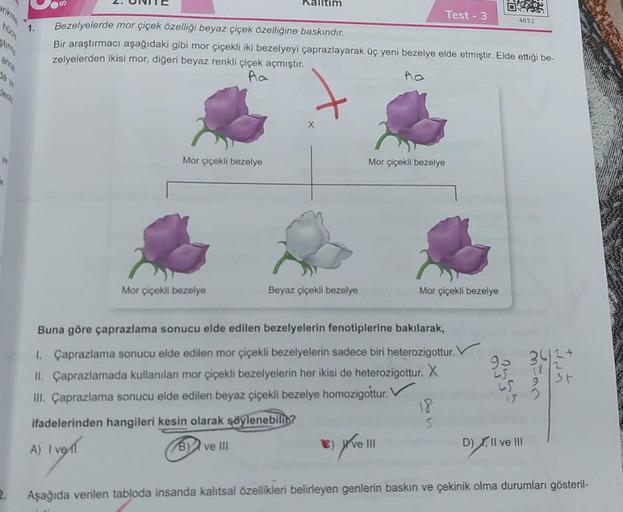 H
2.
1.
A) I
Mor çiçekli bezelye
Mor çiçekli bezelye
Bezelyelerde mor çiçek özelliği beyaz çiçek özelliğine baskındır.
Bir araştırmacı aşağıdaki gibi mor çiçekli iki bezelyeyi çaprazlayarak üç yeni bezelye elde etmiştir. Elde ettiği be-
zelyelerden ikisi m