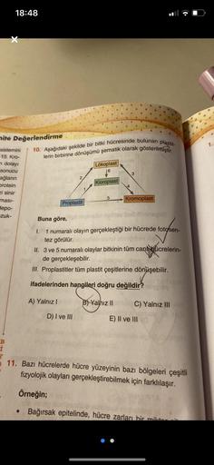 18:48
mite Değerlendirme
sistemini
15. Kro-
m dolayı
sonucu
ağların
protein
zi sinir
masi-
depo-
zuk-
10. Aşağıdaki şekilde bir bitki hücresinde bulunan plastit-
lerin birbirine dönüşümü şematik olarak gösterilmiştir.
Proplastit
A) Yalnız I
Lökoplast
6
D) 