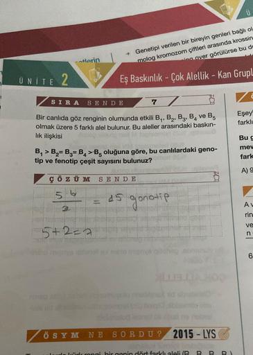 ÜNİTE 2
SIRA
tlerin
SENDE
7
Bir canlıda göz renginin olumunda etkili B₁, B₂, B3, B4 ve B5
olmak üzere 5 farklı alel bulunur. Bu aleller arasındaki baskın-
lık ilişkisi
Genetipi verilen bir bireyin genleri bağlı ol
molog kromozom çiftleri arasında krossin
i