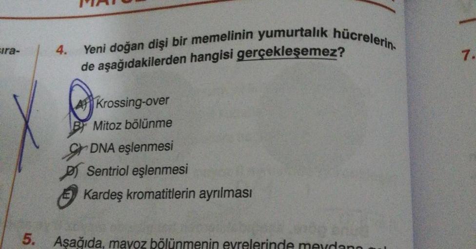 sıra-
5.
4.
Yeni doğan dişi bir memelinin yumurtalık hücrelerin-
de aşağıdakilerden hangisi gerçekleşemez?
A Krossing-over
By Mitoz bölünme
DNA eşlenmesi
PSentriol eşlenmesi
Kardeş kromatitlerin ayrılması
Aşağıda, mayoz bölünmenin evrelerinde meydana
7.