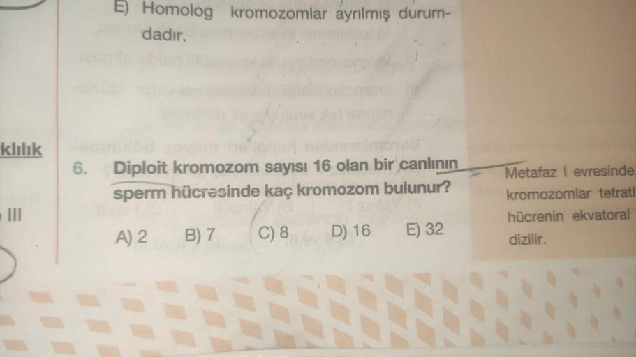 klılık
E) Homolog kromozomlar ayrılmış durum-
esm dadır.
6. Diploit kromozom sayısı 16 olan bir canlının
sperm hücresinde kaç kromozom bulunur?
A) 2
B) 7
C) 8
D) 16 E) 32
Metafaz I evresinde.
kromozomlar tetratl
hücrenin ekvatoral
dizilir.