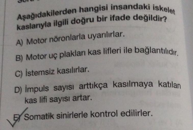 Aşağıdakilerden hangisi insandaki iskelet
kaslarıyla ilgili doğru bir ifade değildir?
A) Motor nöronlarla uyarılırlar.
B) Motor uç plakları kas lifleri ile bağlantılıdır.
C) İstemsiz kasılırlar.
D) Impuls sayısı arttıkça kasılmaya katılan
kas lifi sayısı a