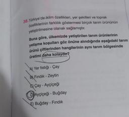 38. Türkiye'de iklim özellikleri, yer şekilleri ve toprak
özelliklerinin farklılık göstermesi birçok tarım ürününün
yetiştirilmesine olanak sağlamıştır.
Buna göre, ülkemizde yetiştirilen tarım ürünlerinin
yetişme koşulları göz önüne alındığında aşağıdaki tarım
ürünü çiftlerinden hangilerinin aynı tarım bölgesinde
üretimi daha kolaydır?
A) Yer fıstığı - Çay
B Fındık - Zeytin
Çay - Ayçiçeği
Ayçiçeği - Buğday
E) Buğday - Fındık