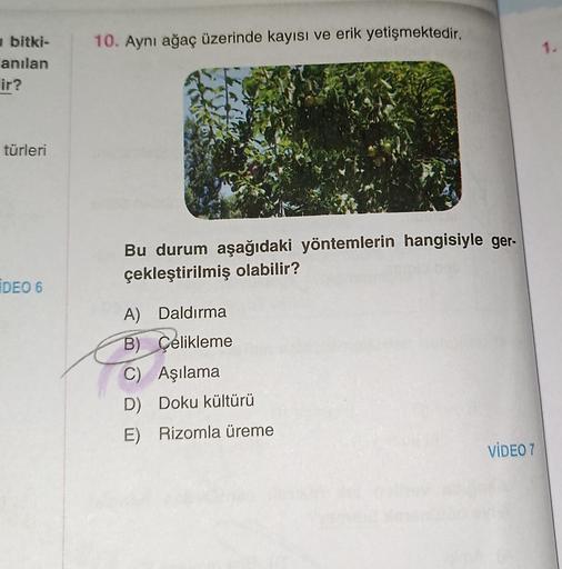 bitki-
anılan
ir?
türleri
IDEO 6
10. Aynı ağaç üzerinde kayısı ve erik yetişmektedir.
Bu durum aşağıdaki yöntemlerin hangisiyle ger-
çekleştirilmiş olabilir?
A) Daldırma
B) Çelikleme
C) Aşılama
D) Doku kültürü
E) Rizomla üreme
VIDEO 7
1.