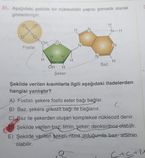 31. Aşağıdaki şekilde bir nükleotidin yapısı şematik olarak
gösterilmiştir.
O
OP-O-
0
-
Fosfat
CH₂
H
H
OH
H
H
Şeker
H
H
N
N
N
Baz
H
N-H
N
H
Şekilde verilen kısımlarla ilgili aşağıdaki ifadelerden
hangisi yanlıştır?
A) Fosfatı şekere fosfo ester bağı bağlar