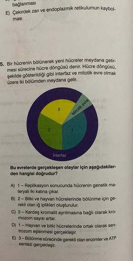 bağlanması
E) Çekirdek zarı ve endoplazmik retikulumun kaybol-
ması
5. Bir hücrenin bölünerek yeni hücreler meydana getir-
mesi sürecine hücre döngüsü denir. Hücre döngüsü,
şekilde gösterildiği gibi interfaz ve mitotik evre olmak
üzere iki bölümden meydana