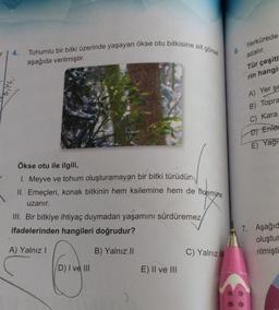 r | 4.
12119
Tohumlu bir bitki üzerinde yaşayan ökse otu bitkisine ait görsel
aşağıda verilmiştir.
Ökse otu ile ilgili,
1. Meyve ve tohum oluşturamayan bir bitki türüdür.
II. Emeçleri, konak bitkinin hem ksilemine hem de floemine
uzanır.
III. Bir bitkiye ihtiyaç duymadan yaşamını sürdüremez
ifadelerinden hangileri doğrudur?
A) Yalnız I
B) Yalnız II
D) I ve Ill
E) II ve III
C) Yalnız III
6.
Yerkürede
azalır.
Tür çeşitl
rin hangis
A) Yer şe
B) Topra
C) Kara
D) Enler
E) Yagis
7. Aşağıd
oluştur
rilmişti