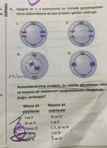 te
ni
SUPARA-
4. Aşağıda 2n = 4 kromozomlu bir hücrede gerçekleşebilen
hücre bölünmelerine ait bazı evrelerin şekilleri verilmiştir.
I.
III.
**
Mor
O
Mitoza ait
olabilenler
A
Ive ll
B)
III ve IV
C) Yalnız III
Dil ve t
ve Ill
ichid nih
II.
sintet (9
nusoy
I