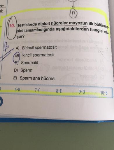 ve-
bl-
1
10. Testislerde diploit hücreler mayozun ilk bölünme
sini tamamladığında aşağıdakilerden hangisi olu
şur?
B
A) Birincil spermatosit
B) ikincil spermatosit
Spermatit
D) Sperm
E) Sperm ana hücresi
6-B
7-C
nome
in
8-E
payu luxo/
9-D
12019 10-B