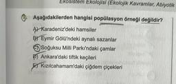 Ekosistem Ekolojisi (Ekolojik Kavramlar, Abiyotik
Aşağıdakilerden hangisi popülasyon örneği değildir?
A) Karadeniz'deki hamsiler
B) Eymir Gölü'ndeki aynalı sazanlar
Soğuksu Milli Parkı'ndaki çamlar
Ankara'daki tiftik keçileri
EKızılcahamam'daki çiğdem çiçekleri
K