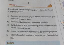 ÖRNEK: 1
Erkek üreme sistemi ile ilgili aşağıda verilenlerden hangi-
si doğru değildir?
A) Testisler, ergenlikten yaşlılık dönemine kadar her gün
milyonlarca sperm üretir
B)
Seminifer tüpçükleri sertoli hücreleri içindedir.
C) Epididimiste sperm hücreleri olgunlaşır, hareket ve döl-
lenme yeteneği kazanır.
E)
D) Üretra bir seferde ya spermleri ya da idrarı dışarıya atar.
Sperm hücreleri, testislerin seminifer tüpçüklerinde üre-
tilir.
Çözüm
Er
Di
Di
(