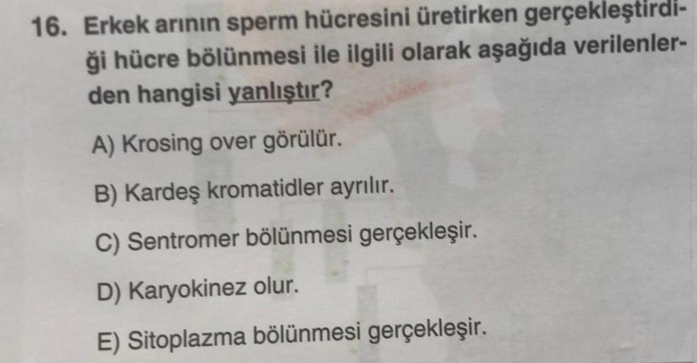 16. Erkek arının sperm hücresini üretirken gerçekleştirdi-
ği hücre bölünmesi ile ilgili olarak aşağıda verilenler-
den hangisi yanlıştır?
A) Krosing over görülür.
B) Kardeş kromatidler ayrılır.
C) Sentromer bölünmesi gerçekleşir.
D) Karyokinez olur.
E) Si