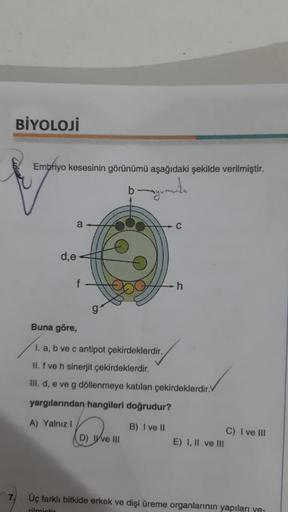 BİYOLOJİ
7.
Embriyo kesesinin görünümü aşağıdaki şekilde verilmiştir.
a
d,e
f
C
D) ve III
-h
Buna göre,
1. a, b ve c antipot çekirdeklerdir.
II. f ve h sinerjit çekirdeklerdir.
III. d, e ve g döllenmeye katılan çekirdeklerdir.V
yargılarından hangileri doğr