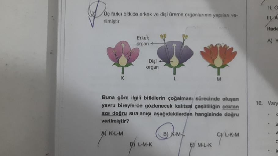 Üç farklı bitkide erkek ve dişi üreme organlarının yapıları ve-
rilmiştir.
A) K-L-M
Erkek
organ+
2⁰
Dişi +
organ
Buna göre ilgili bitkilerin çoğalması sürecinde oluşan
yavru bireylerde gözlenecek kalıtsal çeşitliliğin çoktan
aza doğru sıralanışı aşağıdakil