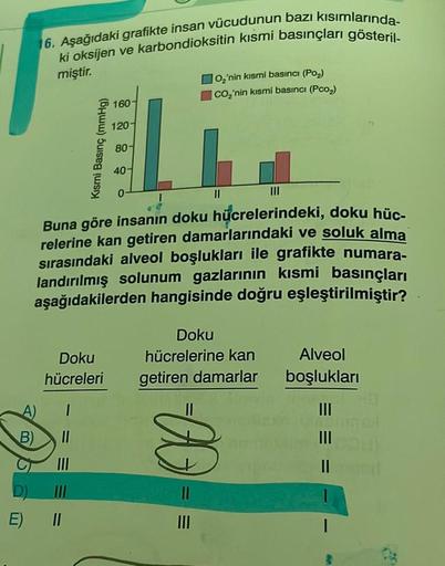 16. Aşağıdaki grafikte insan vücudunun bazı kısımlarında-
ki oksijen ve karbondioksitin kısmi basınçları gösteril-
miştir.
D)
E)
A)
B) ||
Kısmi Basınç (mmHg)
Doku
hücreleri
|||
Buna göre insanın doku hücrelerindeki, doku hüc-
relerine kan getiren damarları