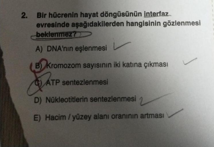 2.
Bir hücrenin hayat döngüsünün interfaz
evresinde aşağıdakilerden hangisinin gözlenmesi
beklenmez?
A) DNA'nın eşlenmesi
B) Kromozom sayısının iki katına çıkması
G) ATP sentezlenmesi
D) Nükleotitlerin sentezlenmesi
E) Hacim/yüzey alanı oranının artması